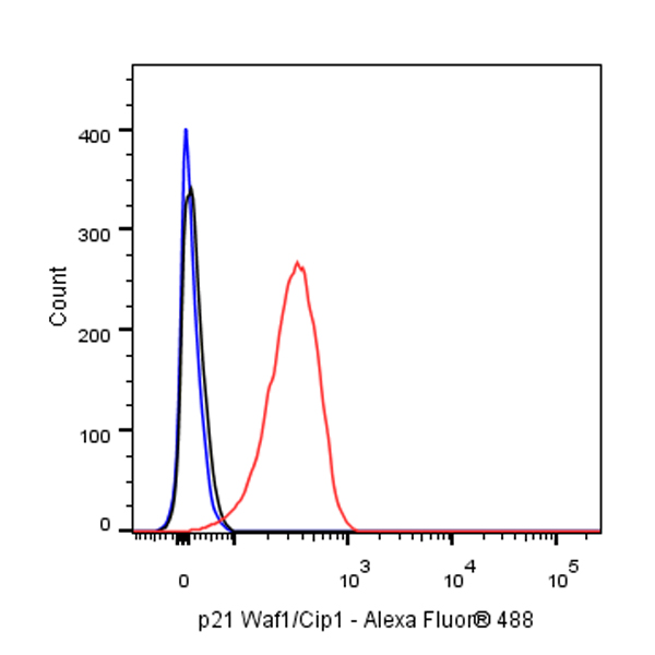 p21 Waf1/Cip1 Mouse mAb (469-2)