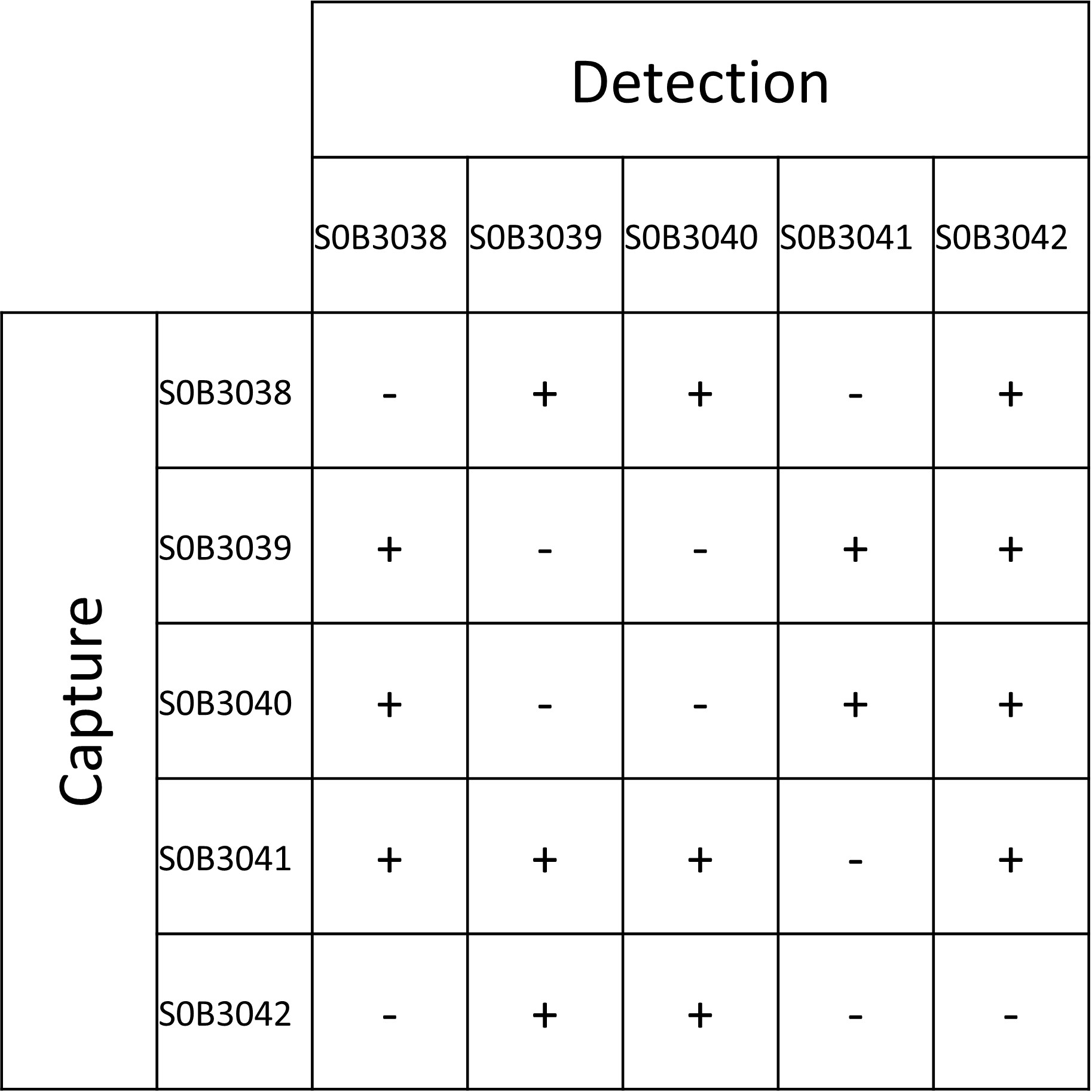 A35R Recombinant Rabbit mAb (SDT-182-28)
