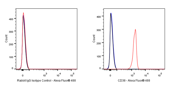 Alexa Fluor® 488 Rabbit IgG Isotype Control Antibody (S-R058)