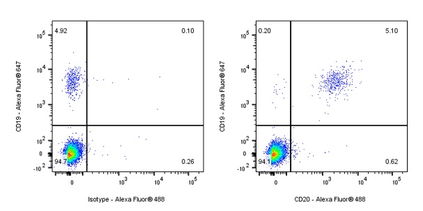 CD20 Recombinant Mouse mAb (S-R449)