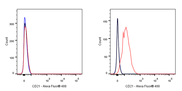 CD21 Mouse mAb (S-764-18)