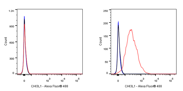 CHI3L1 Recombinant Rabbit mAb (S-324-38)