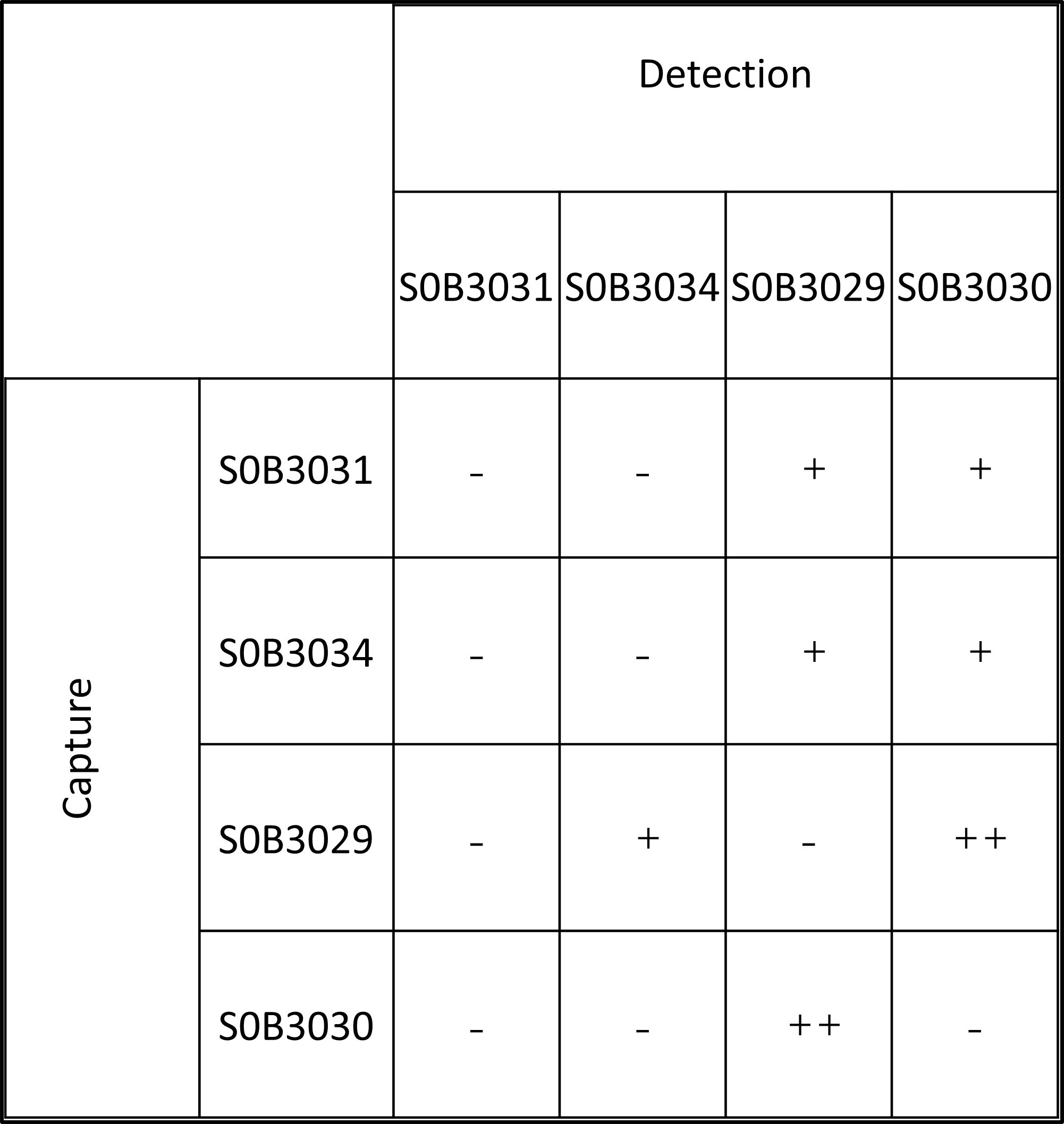 PCT Recombinant Rabbit mAb(SDT-050-58)