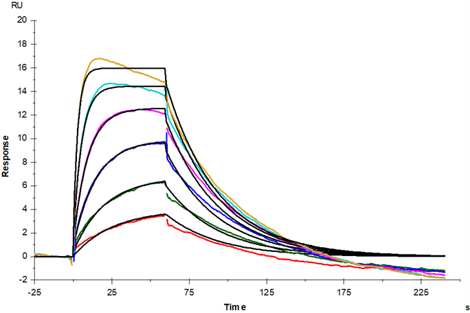 GM-CSFR α His Tag Protein, Human