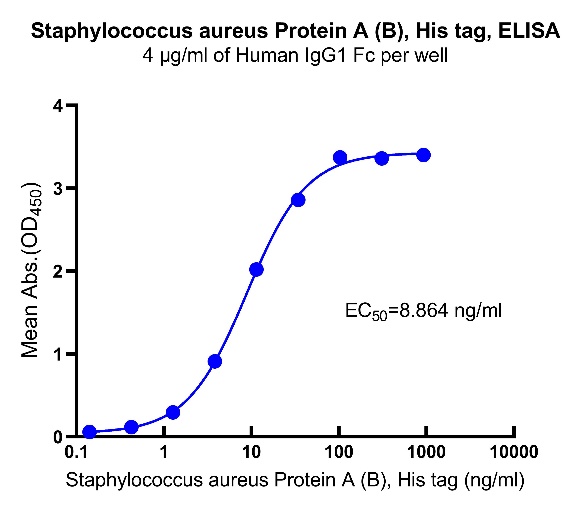 Staphylococcus aureus Protein A (B), His tag