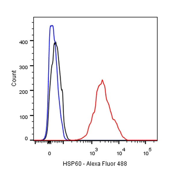 HSP60 Recombinant Rabbit mAb (Alexa Fluor® 488 conjugate) (SDT-R012)