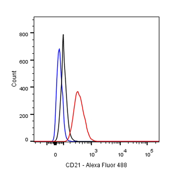 S-RMab® CD21 Recombinant Rabbit mAb(SDT-007-47)