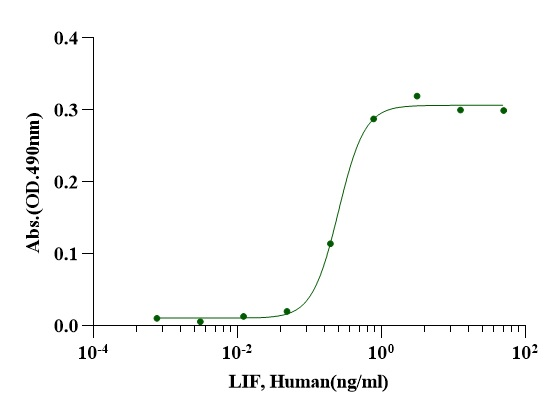 LIF Protein, Human