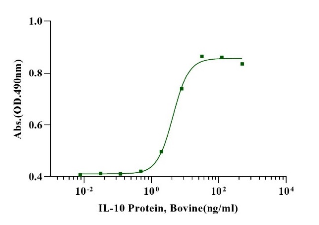 IL-10 Protein, Bovine