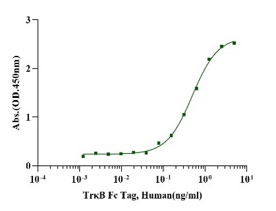NT-4 Protein, Human