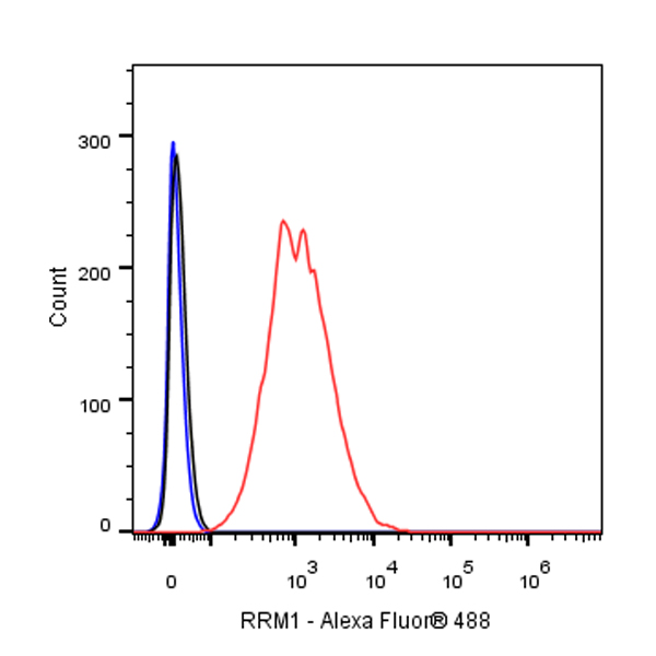 RRM1 Recombinant Rabbit mAb (SDT-R152)