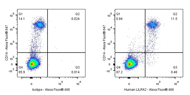 LILRA2 Recombinant Rabbit mAb (S-287-234)