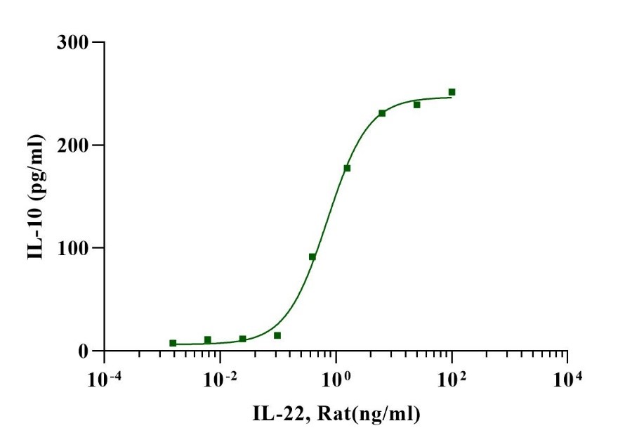 IL-22 Protein, Rat