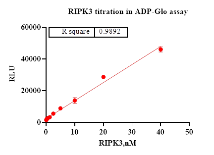 RIPK3 Protein