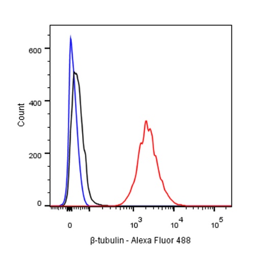 β-tubulin Recombinant Rabbit mAb (Alexa Fluor® 488 Conjugate) (S-312-113)
