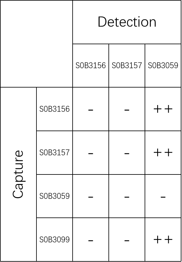 Tau (phospho T181) Mouse mAb (SDT-200-5)