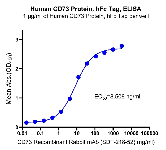 Human CD73 Protein, hFc tag