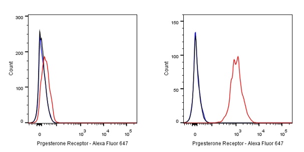 Progesterone Receptor Recombinant Rabbit mAb (Alex Fluor®647 Conjugate) (S-R123)