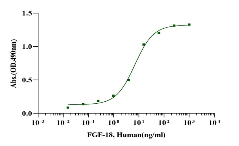 FGF-18 Protein, Human