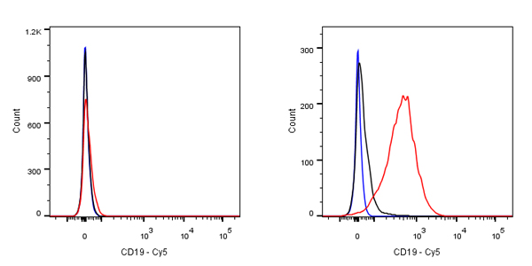 CD19 Recombinant Rabbit mAb (Cy5 Conjugate) (S-164-41)