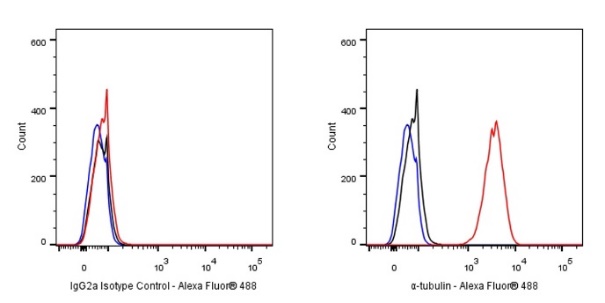 Invivo mouse IgG2a isotype control