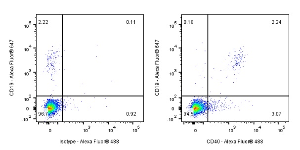 CD40 Recombinant Mouse mAb (S-R485)
