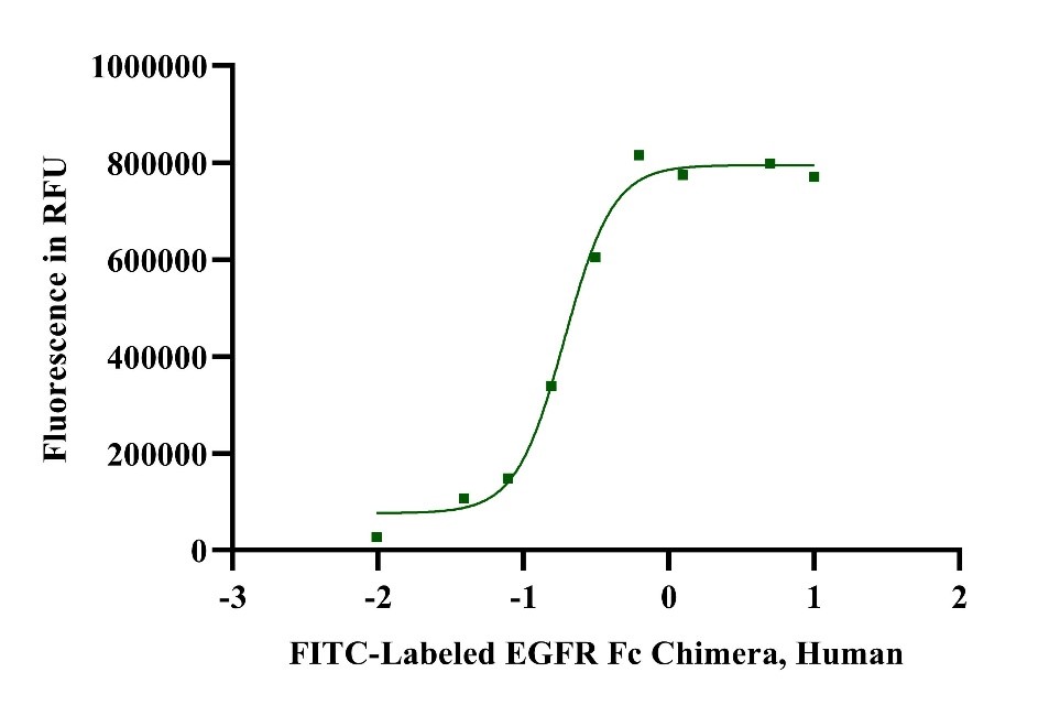 FITC-Labeled EGFR Fc Chimera Protein, Human