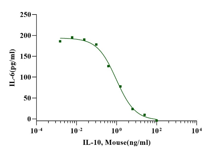 IL-10 Protein, Mouse