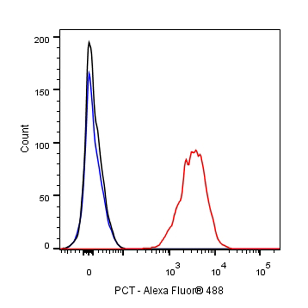 PCT Recombinant Rabbit mAb(SDT-050-58)