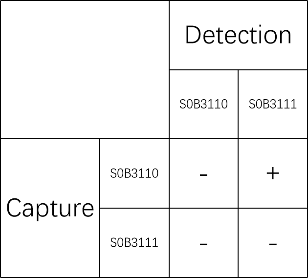 L1R Recombinant Rabbit mAb (SDT-157-3)