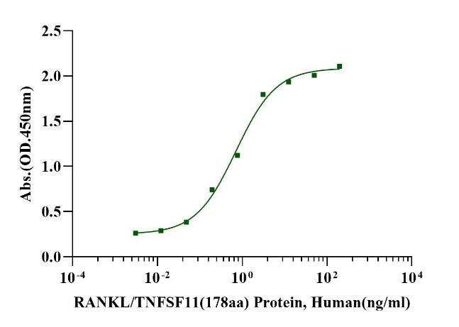 RANK L/TNFSF11(178aa) Protein, Human