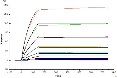Invivo anti-mouse PD-1 Recombinant mAb (D265A)