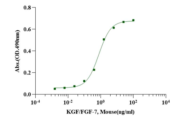KGF/FGF-7 Protein, Mouse