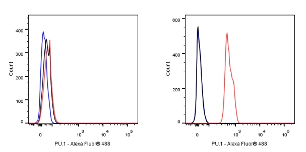 S-RMab® PU.1 Recombinant Rabbit mAb (SDT-R236)