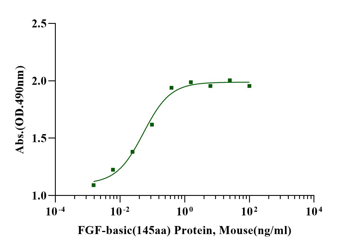 FGF-basic (145aa) Protein, Mouse