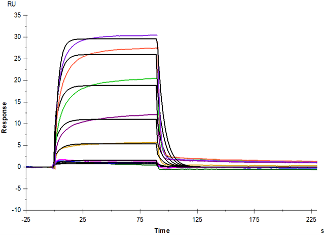 PVRIG His Tag Protein, Human
