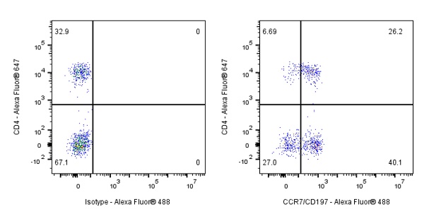 CCR7 Recombinant Rabbit mAb (S-999-29)