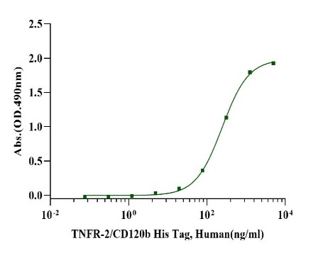 TNFR-2/CD120b His Tag Protein, Human