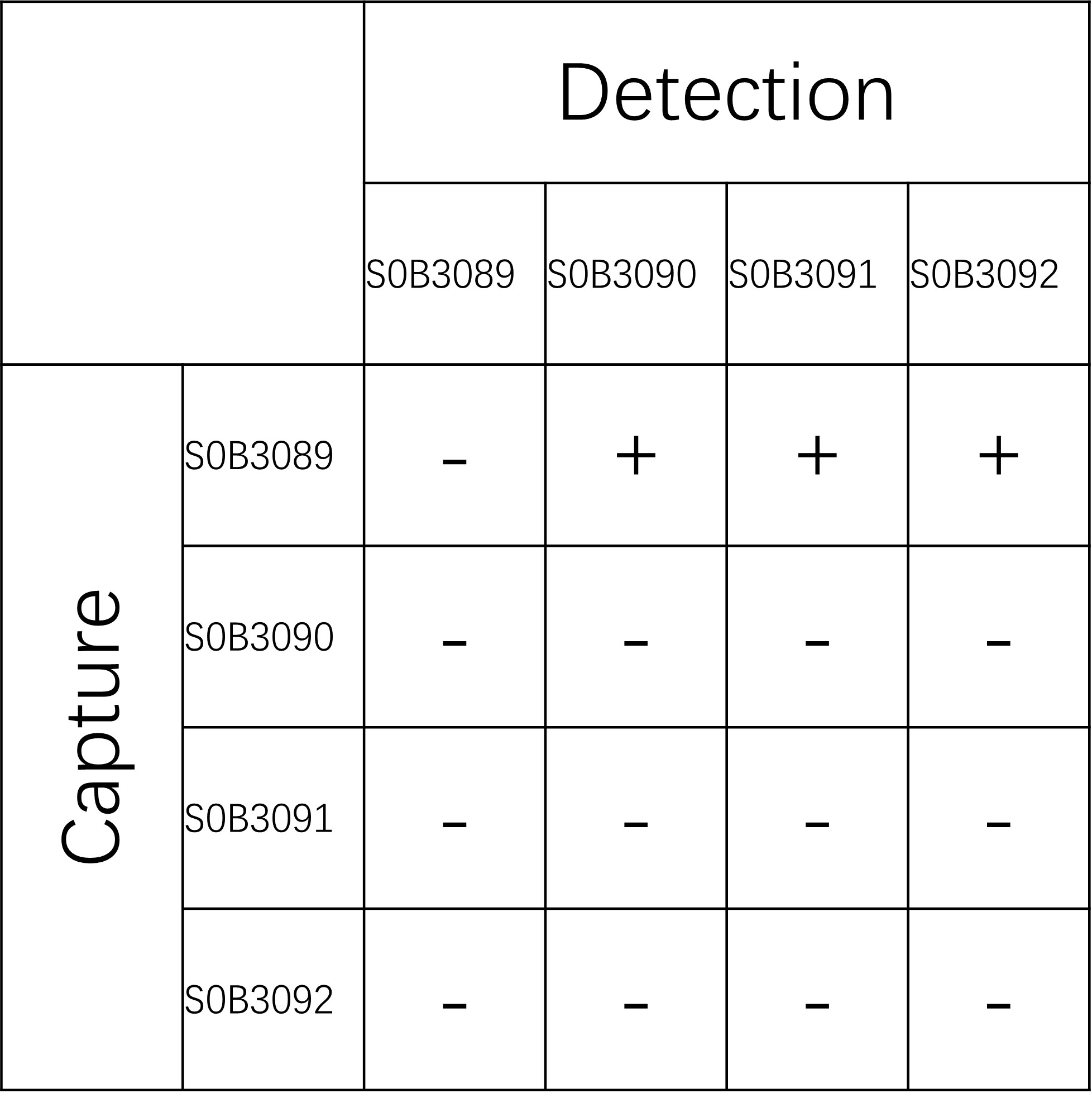 Collagen IV Recombinant Rabbit mAb (SDT-150-31)