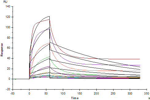 IL-6R alpha/CD126 Fc Chimera Protein, Human