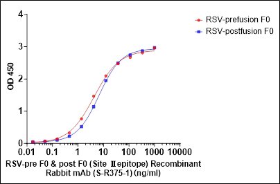 RSV-pre F0 & post F0 (Site Ⅱ epitope) Recombinant Rabbit mAb (S-R375-1)