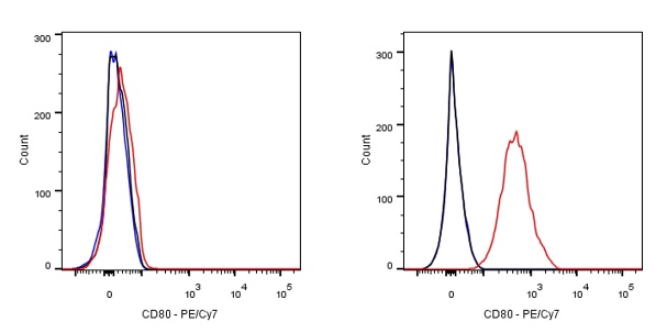 PE-Cy7 Rabbit Anti-Human CD80 Antibody (S-288-177)