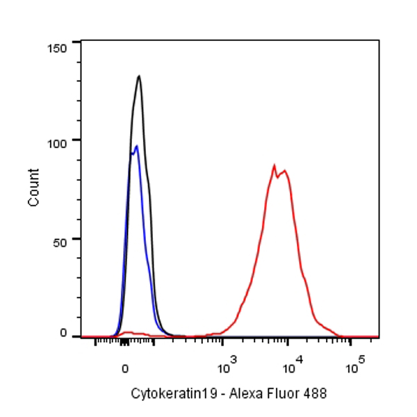 Cytokeratin 19 Recombinant Rabbit  mAb (SDT-107-19)