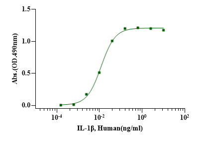 IL-1β Protein, Human