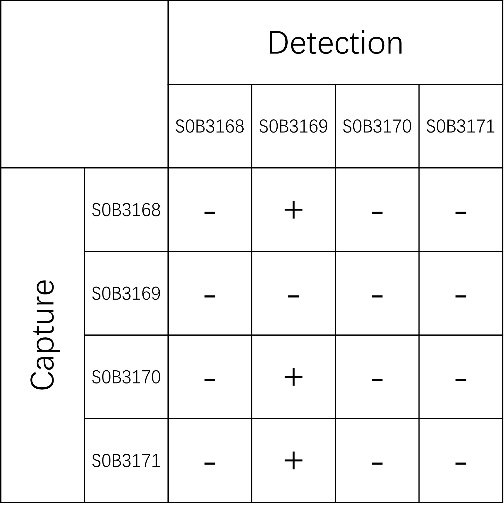 Adiponectin Recombinant Rabbit mAb (SDT-692-21)