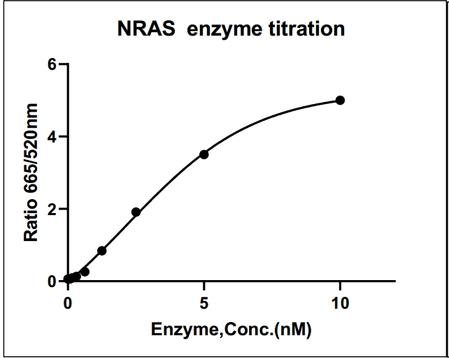 NRAS, Avi&His Tag Protein