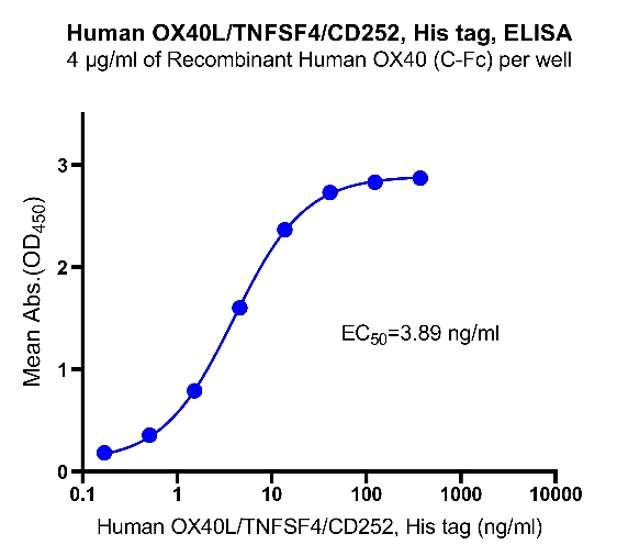 Human OX40L/TNFSF4/CD252, His tag