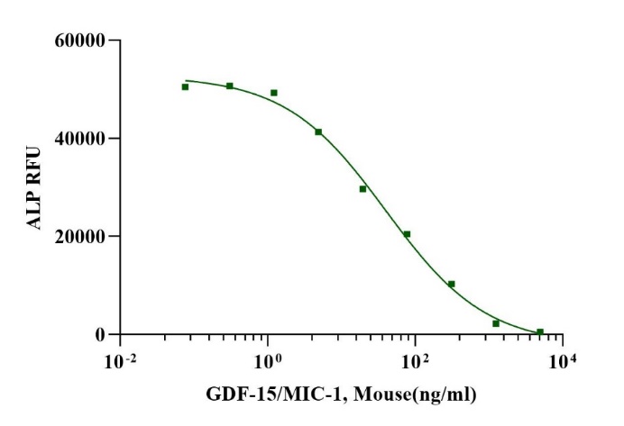 GDF-15/MIC-1 Protein, Mouse