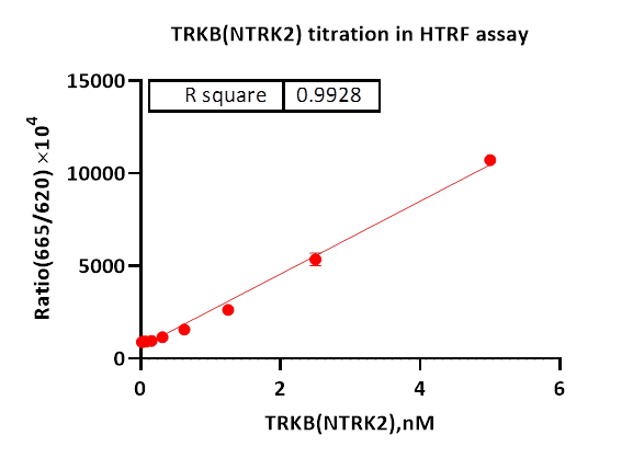 TRKB(NTRK2) Protein