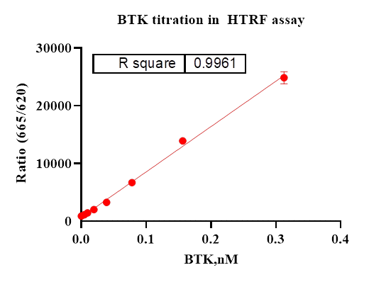 BTK Protein